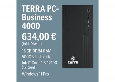 Terra-PC-Business_4000